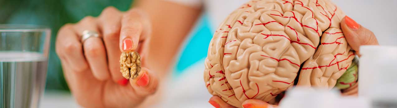 گردو و پیشگیری از بیماریهای مغزی